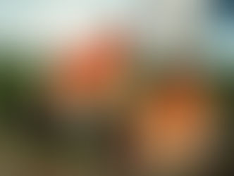 Cineclube GeraSol exibe Sargento Getúlio