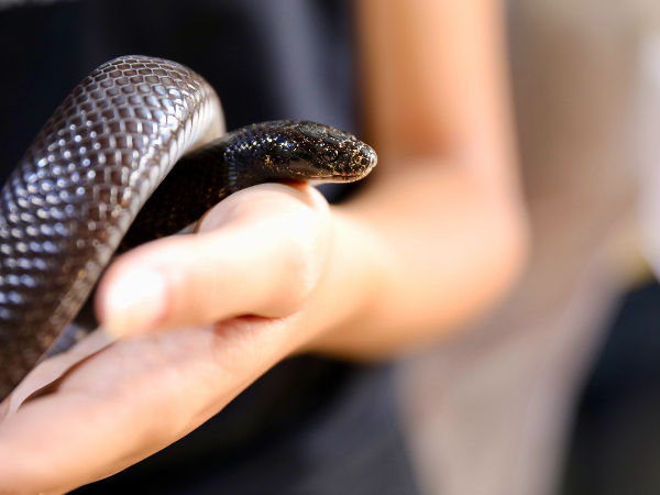 Ações educativas do Zoo Bahia alcançam cerca de 12 mil participações em 2026