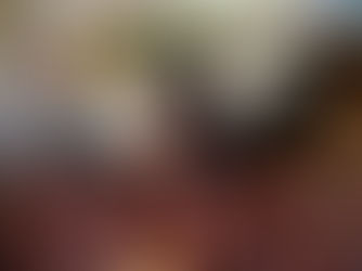 Bahia avança em parceria com Emirados Árabes