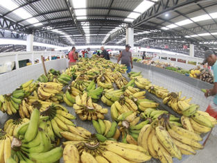 Cesta básica em Salvador dispara 5,29% em maio e supera recorde de março