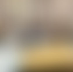 🌟 Welcome to the Taylor’s Place Blog