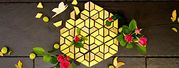kaneko_ph04.jpg