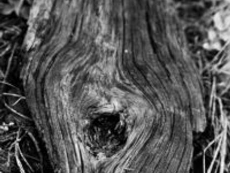 Photography 101: On motivation