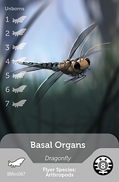 BMes card145.png
