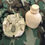 Thumbnail: Molle II 1 QT Canteen Pouch-Desert Camo