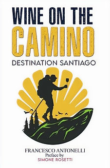 copertina camino santiago_edited.jpg