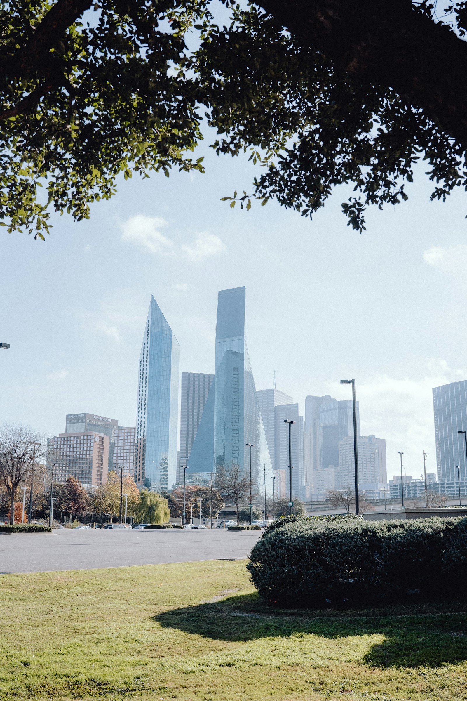 Dallas, TX skyline representing local digital marketing services