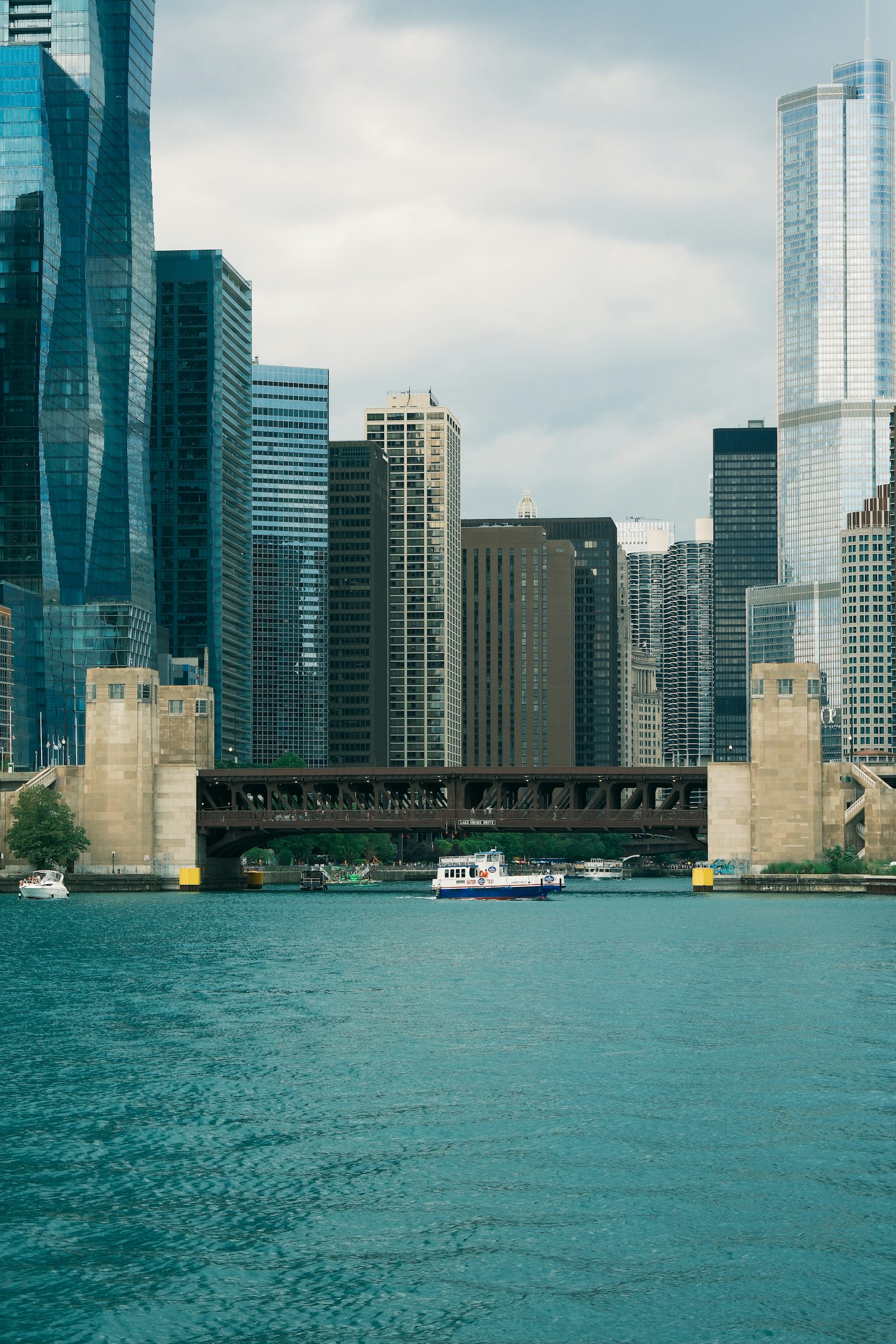 Chicago, IL skyline representing local digital marketing services