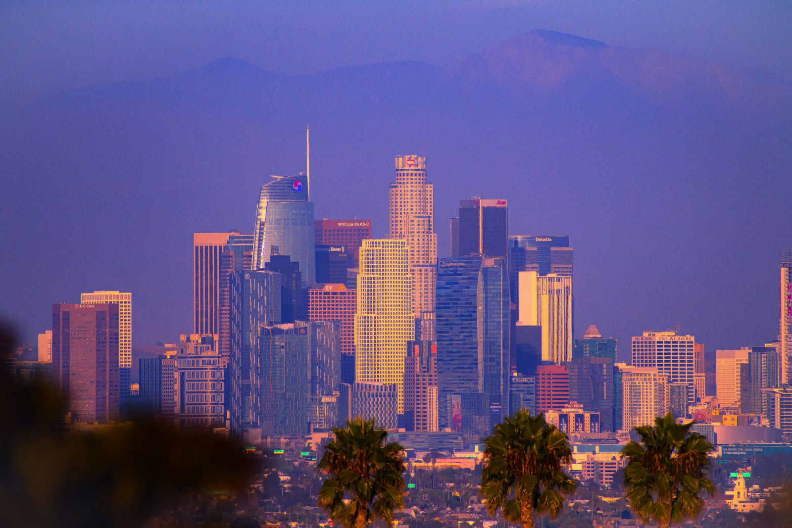 Los Angeles, CA skyline representing local digital marketing services