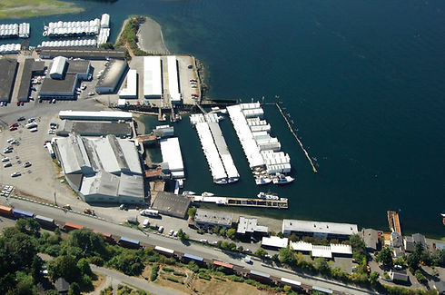 narrows marina.jpeg