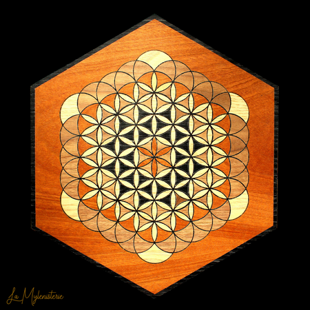 fleur-de-vie-en-bois-fond-acajou.png