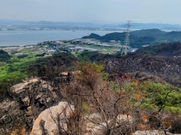 暑さから逃れられない瀬戸内の山。