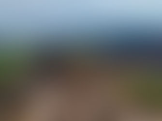 暑さから逃れられない瀬戸内の山。