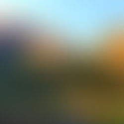 氷ノ山麓の紅葉。