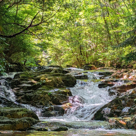 初めての渓流は悲喜こもごも。