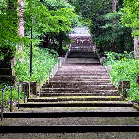 梅雨到来、雨でも楽しむ山登り。