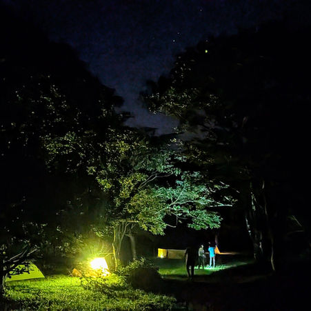 神話の山で夏の一夜。