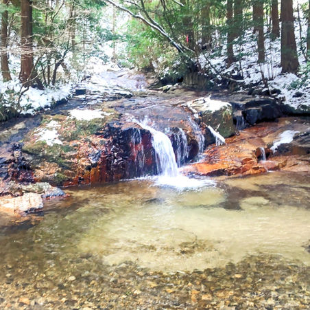 里山でも雪景色を楽めました＠東郷山