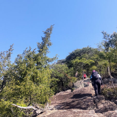 新緑と瀬戸内を楽しむ縦走路。