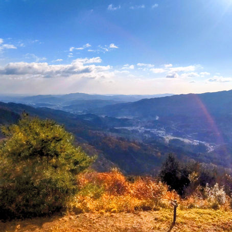 小雪舞う旧街道の山城裏で遊ぶ。