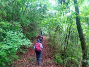 のどかな山里の里山を楽しむ。
