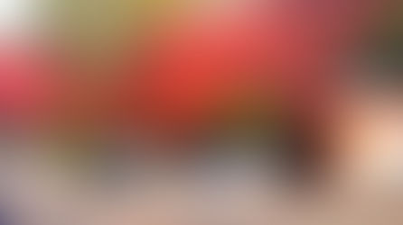 小春日和の里山ハイク。