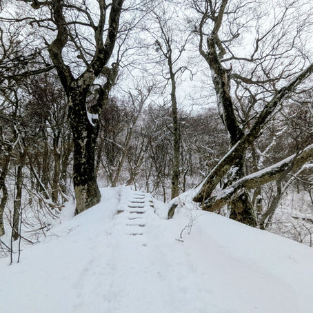 いつもの伯耆大山。