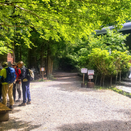 初夏の中国山地を楽しむ奥山ハイク。