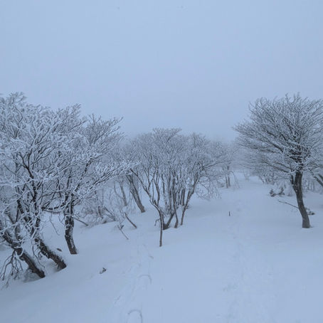 雲と雪のモノクロームな世界。