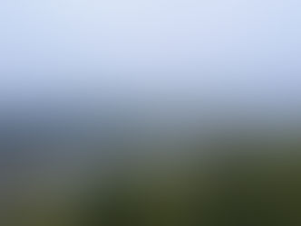 秋霖の里山を歩く。