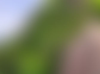 初めての岩は悲喜こもごも。