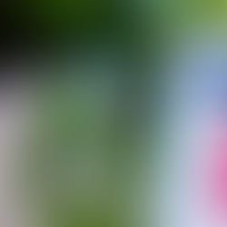 隈笹にシバかれ超えていく。