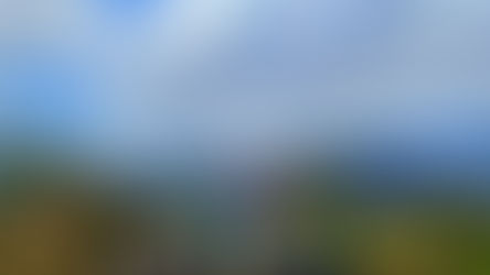 しっかり歩いて学ぶ。