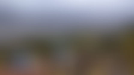 里山ハイクで修めの3月