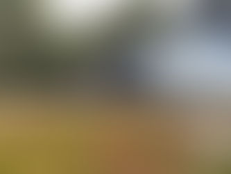 Fire at the Power Station