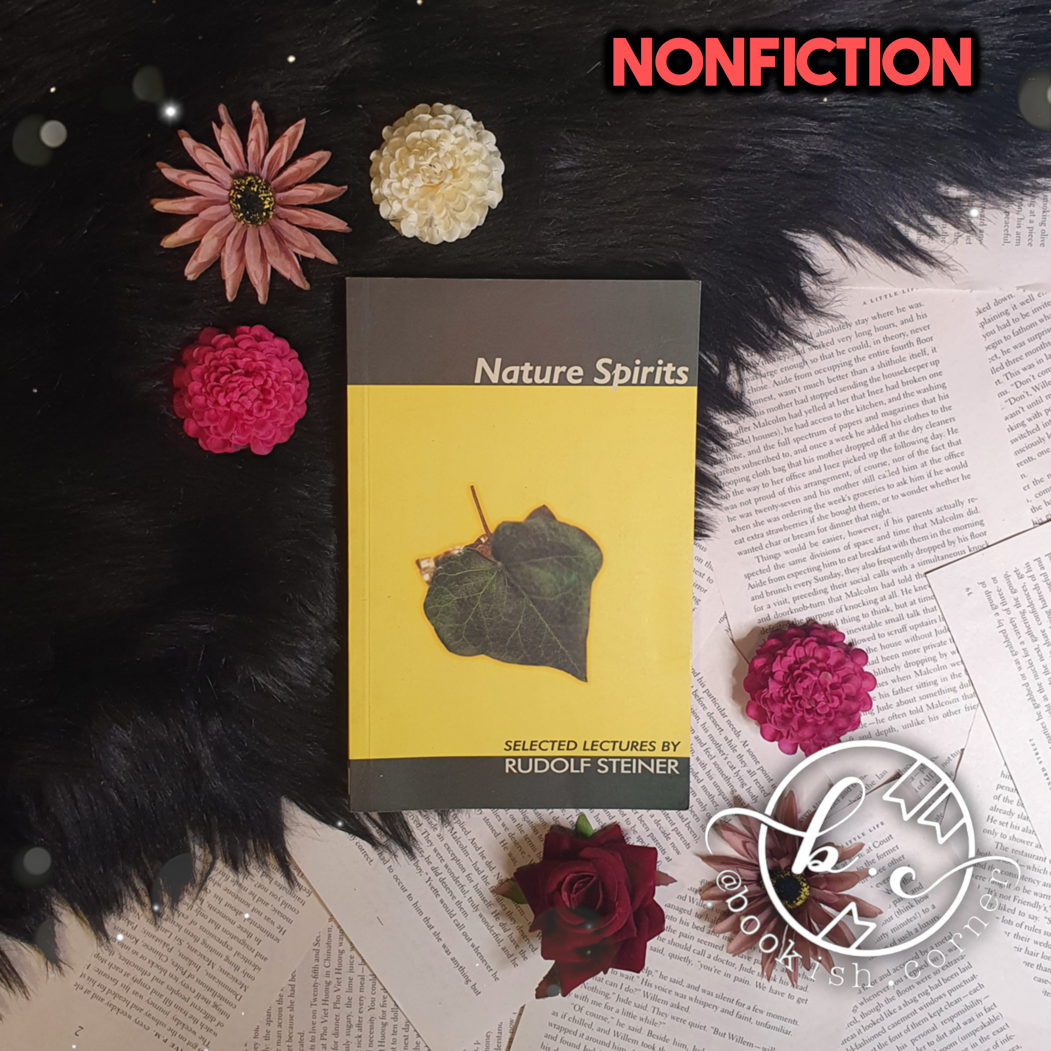 Nature Spirits By Rudolf Steiner