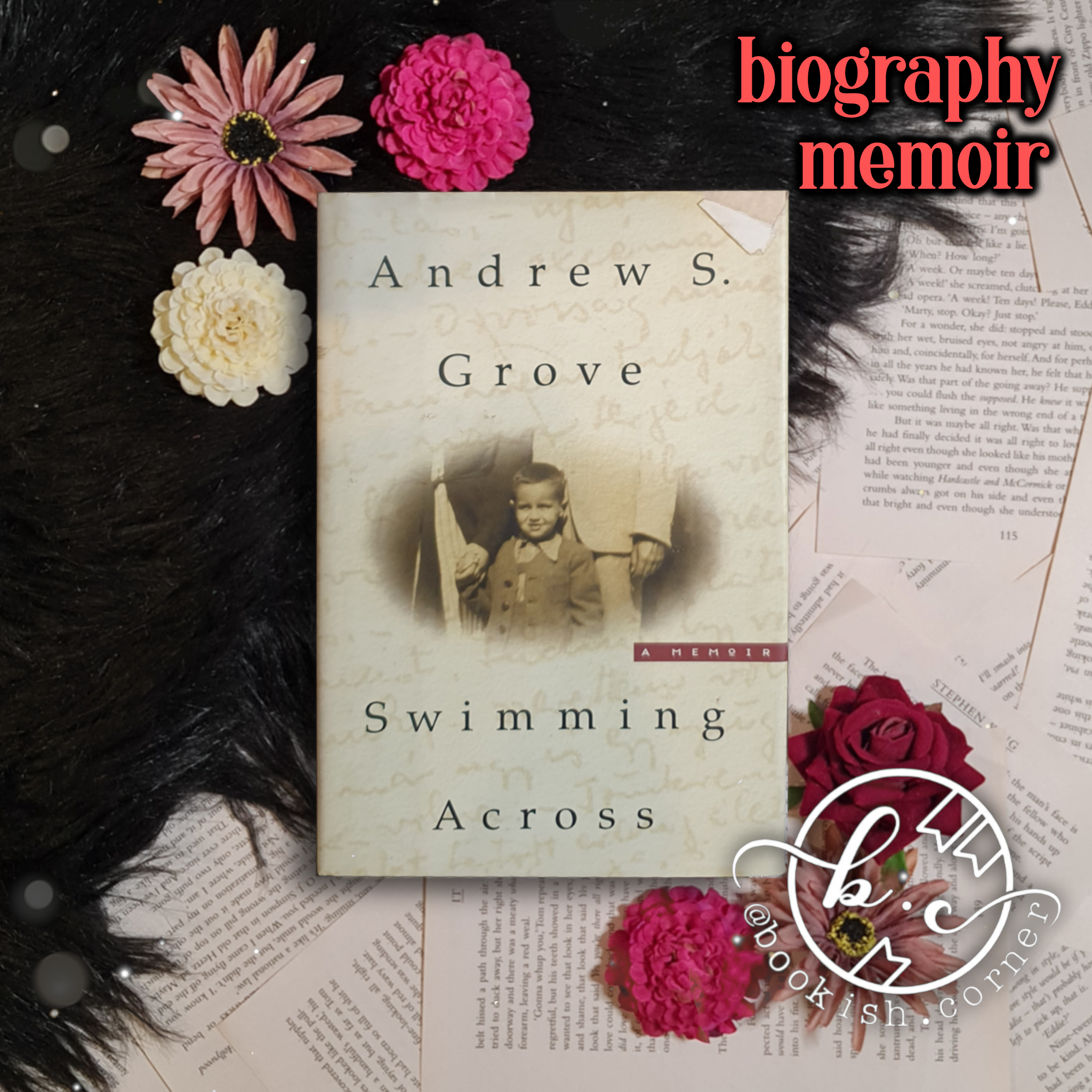 Swimming Across By Andrew Grove