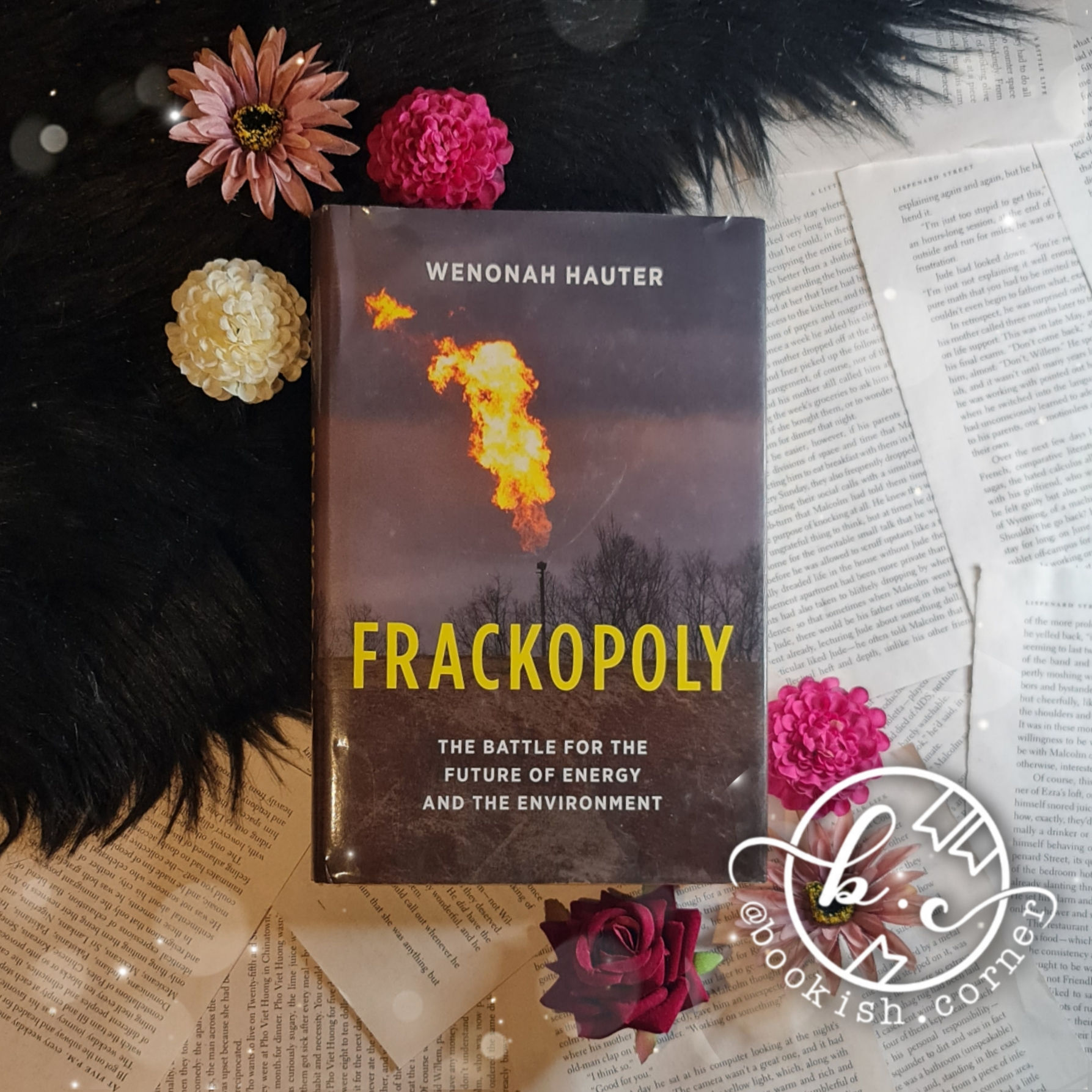 Frackopoly by Wenonah Haunter