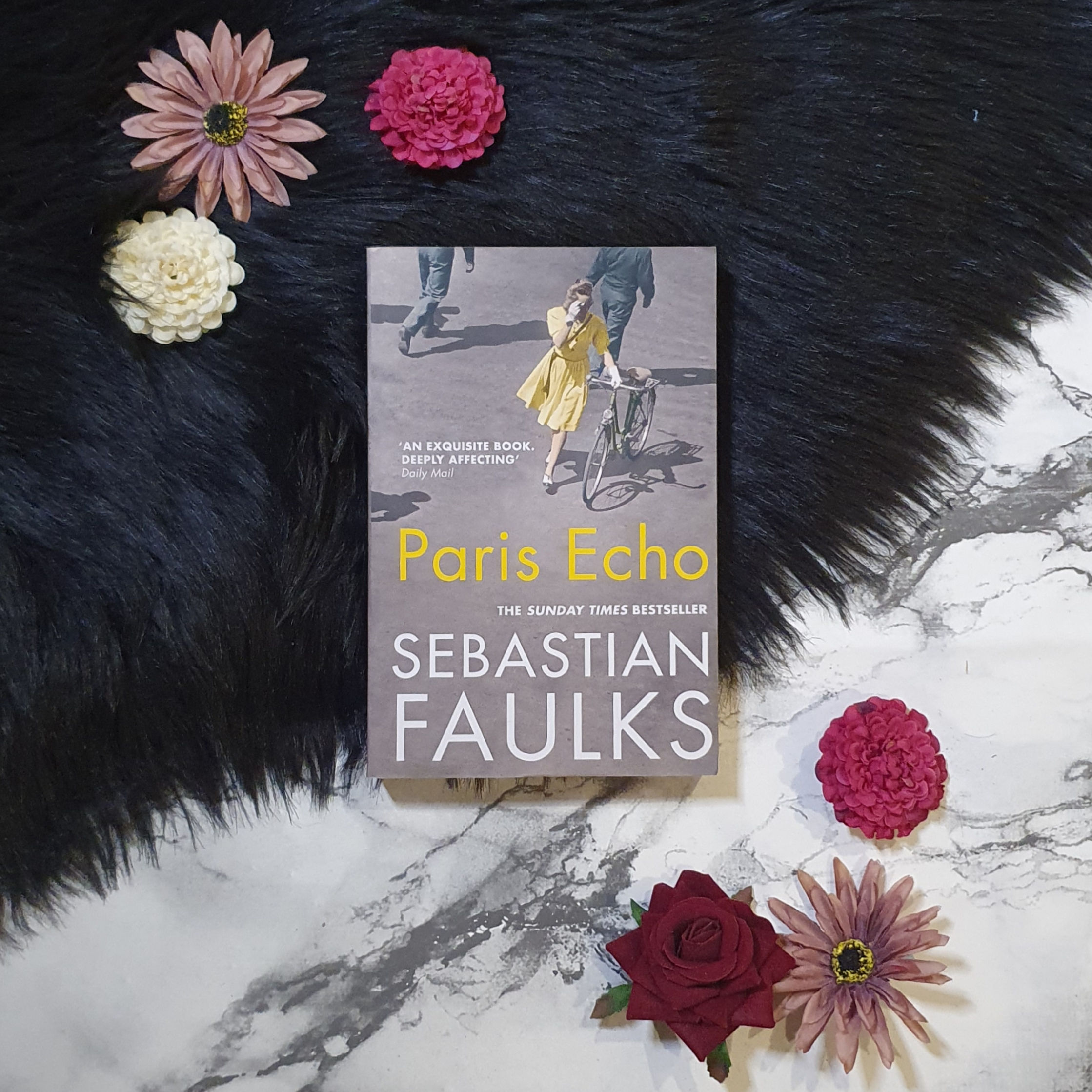 Paris Echo by Sebastian Faulks