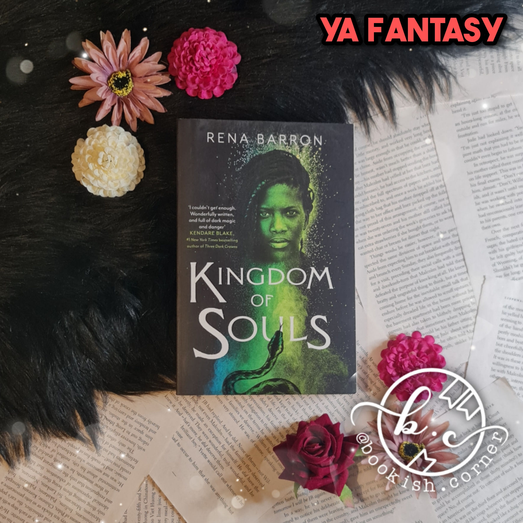 Kingdom Of Souls By Rena Barron