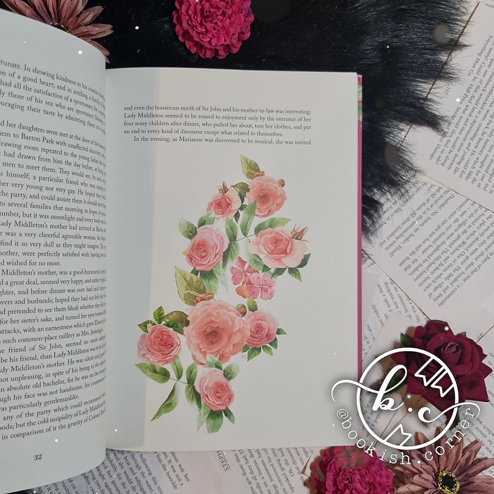 Thumbnail: Sense and Sensibility b Jane Austen (special edition)