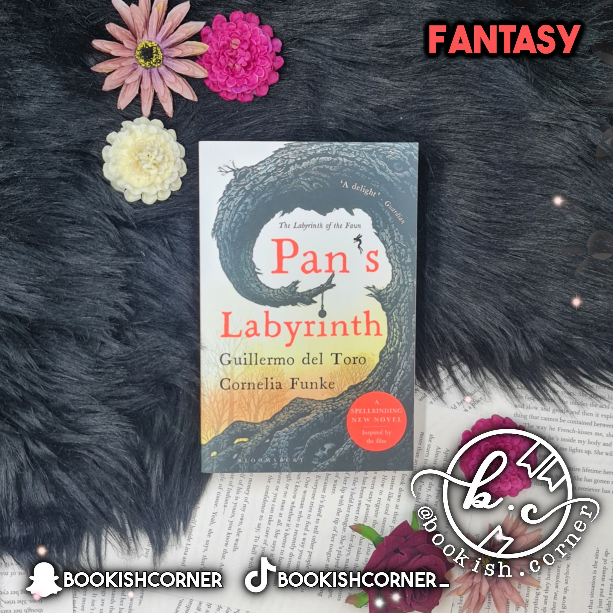 Pan's Labyrinth By Guillermo del Toro , Cornelia Funke