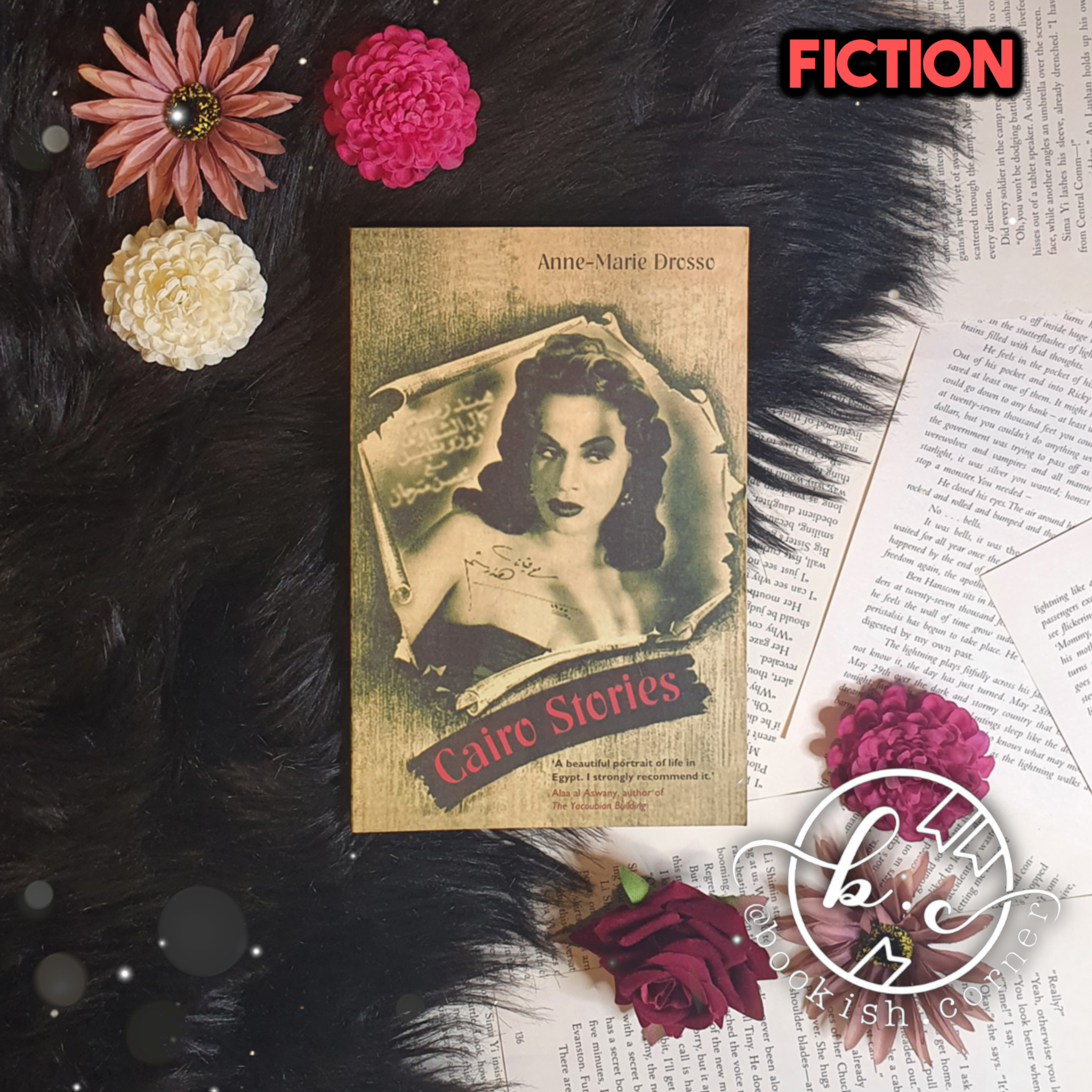 Cairo Stories By Anne-marie Drosso