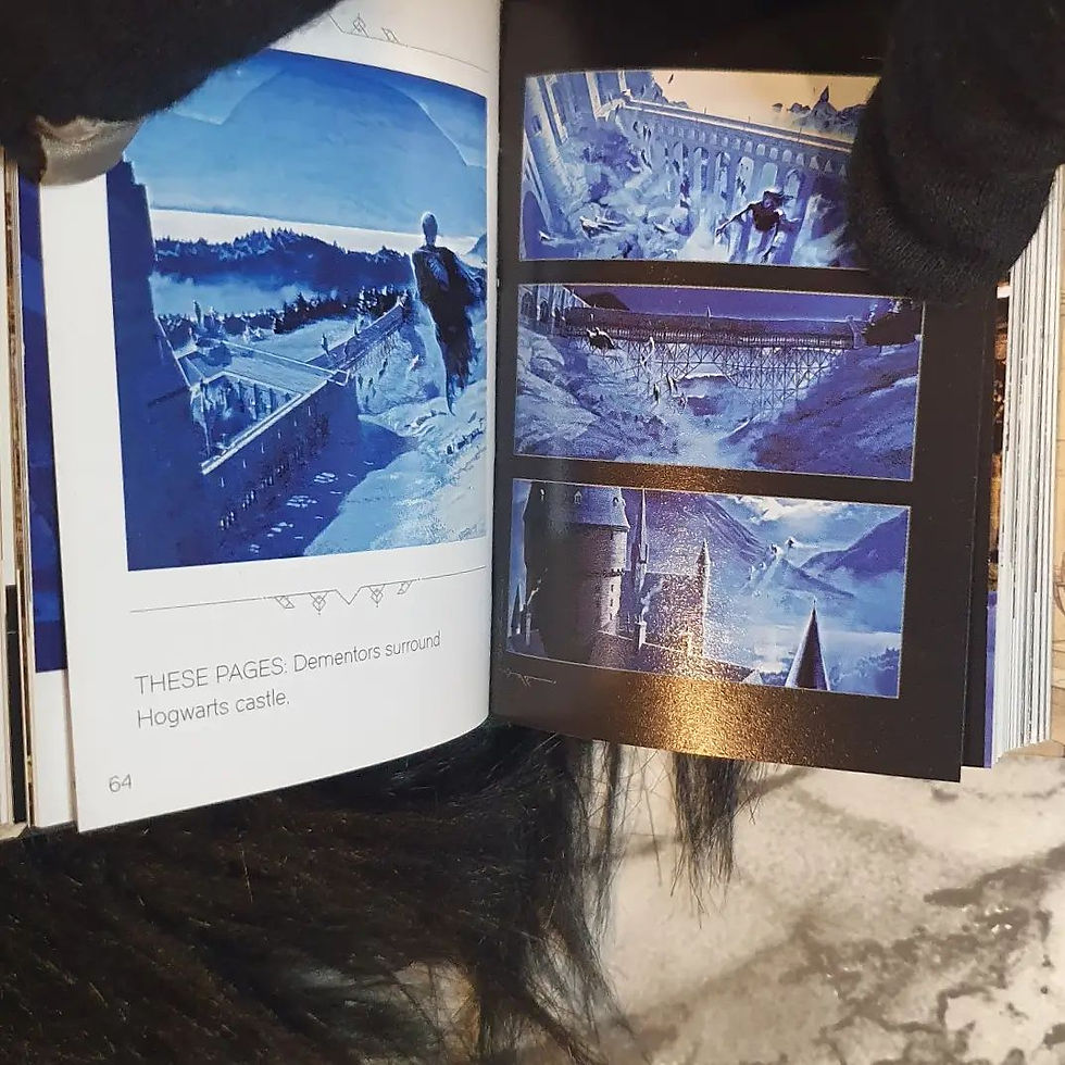 Thumbnail: Mini Harry Potter books