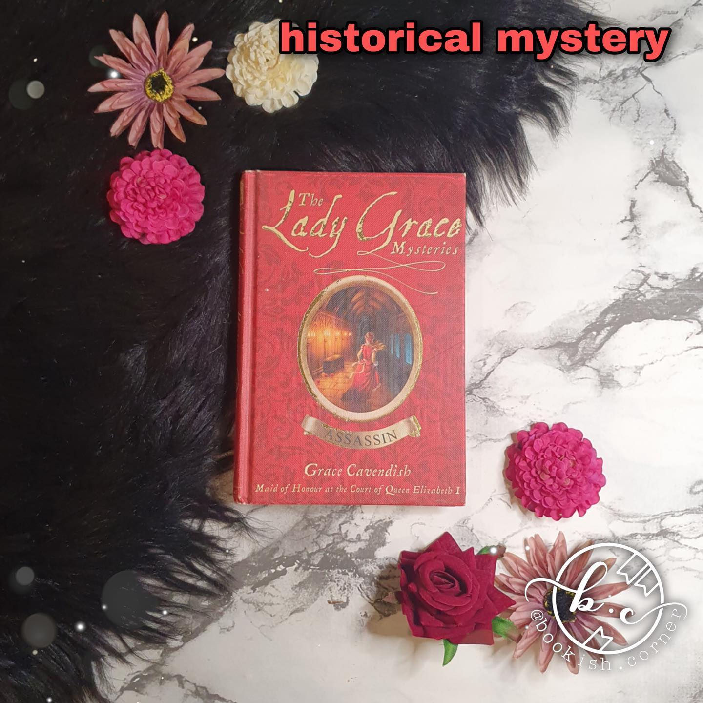 Assassin: Lady Grace Mysteries By Patricia Finney