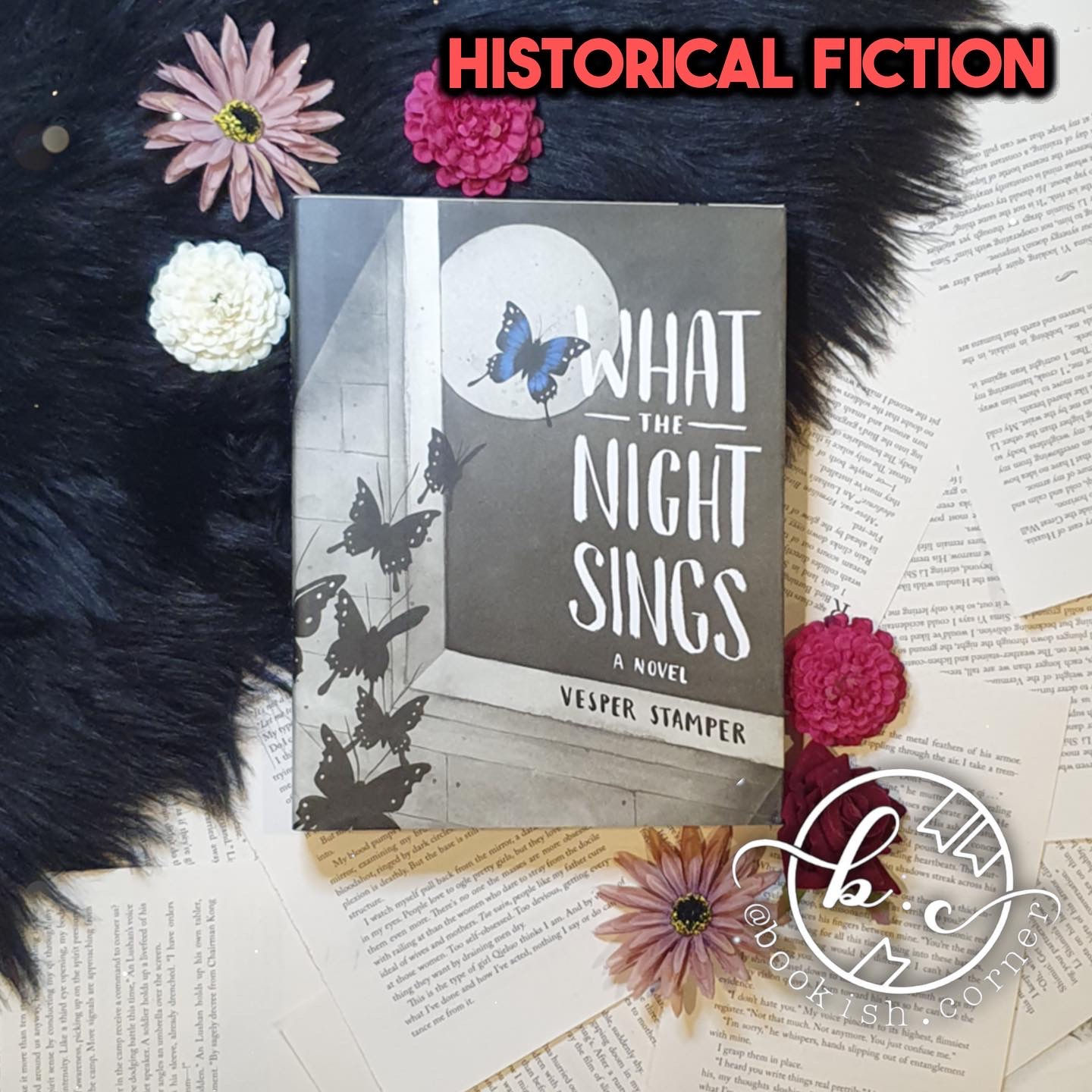 What The Night Sings By Vesper Stamper