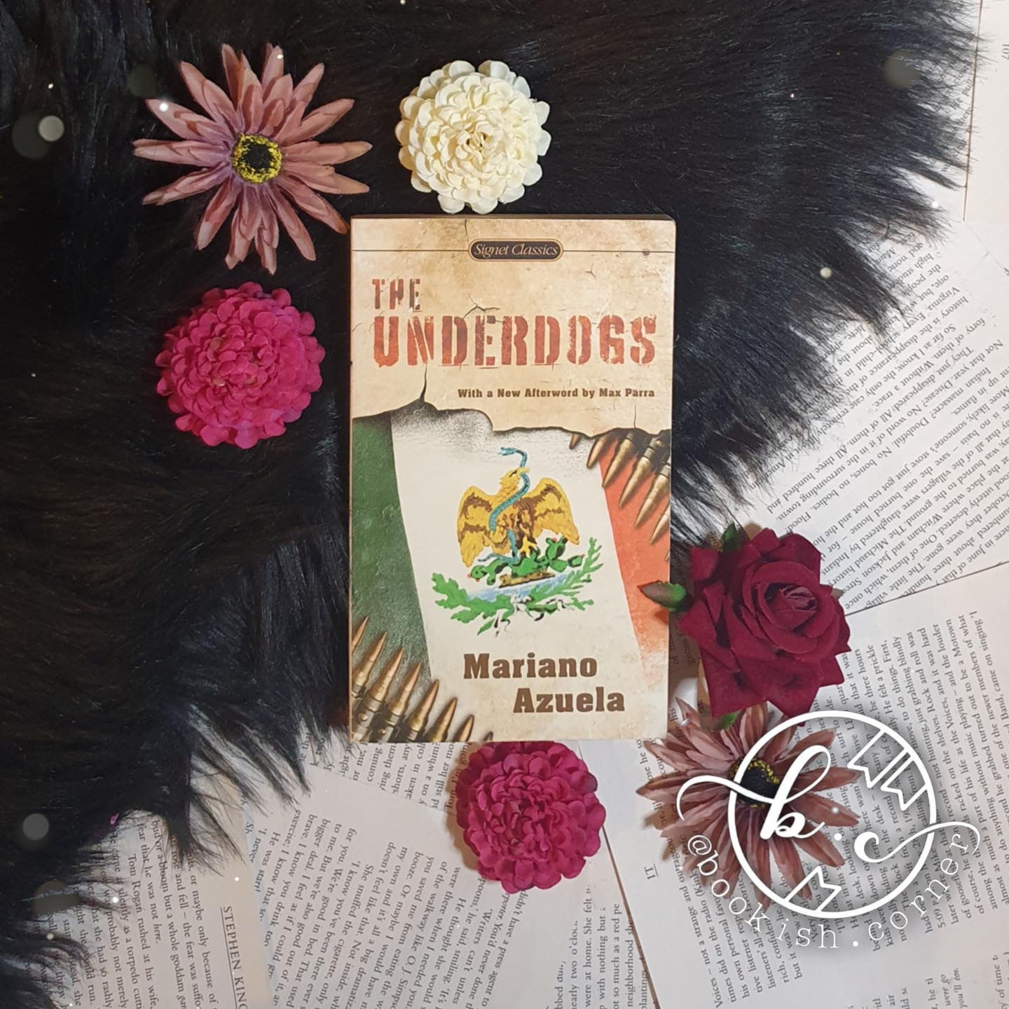 The Underdogs By Mariano Azuela