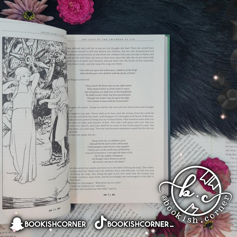 Thumbnail: Irish Fairy Tales By D L Ashliman