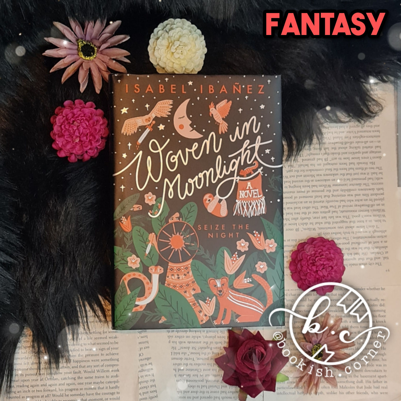 Woven In Moonlight By Isabel Ibanez