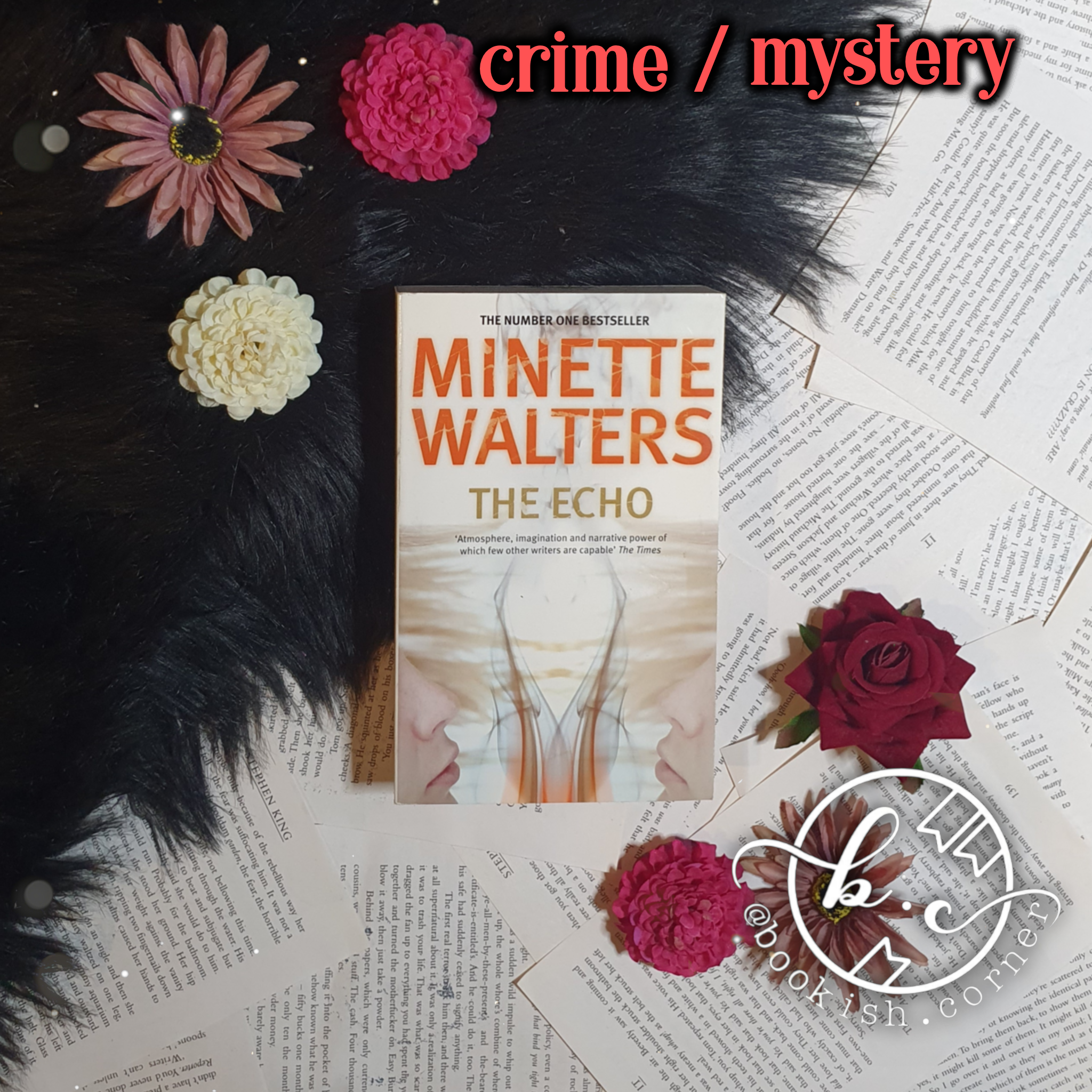 The Echo By Minette Walters